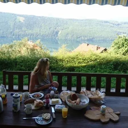 Ferienhaus Seeblick 度假居